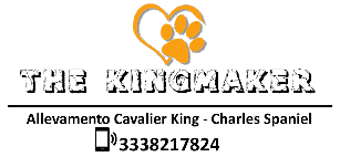 Logo The Kingmaker